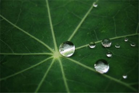 黑龍江自考本科的畢業(yè)證和學(xué)位證有什么區(qū)別?